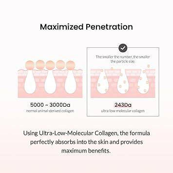 BIODANCE Pore Tightening Collagen Cream 50mL - Image 7