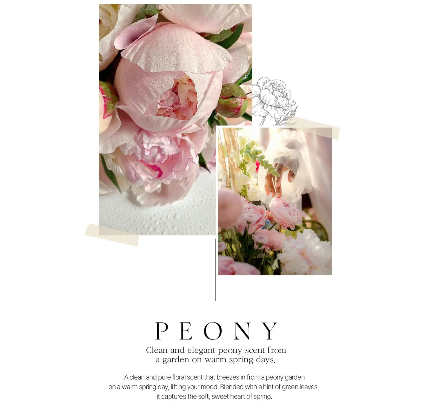 BOM Peony Garden Perfume Body Mist 110ml - Image 15