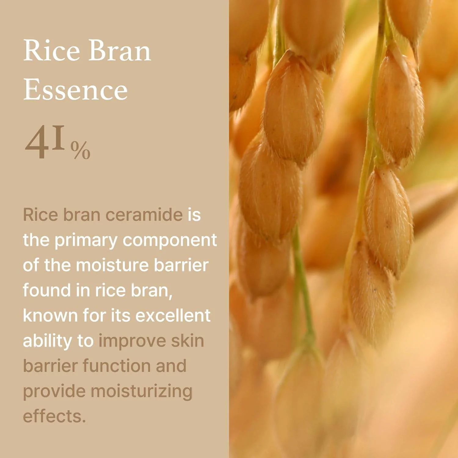 I'M FROM Rice Cream - Image 5