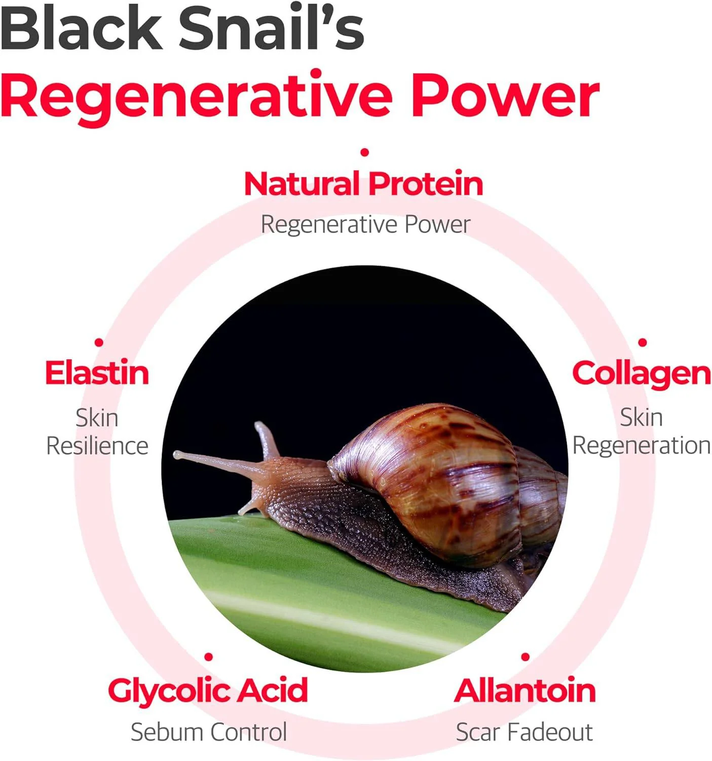 SOME BY MI Snail Truecica Miracle Repair Toner - Image 5
