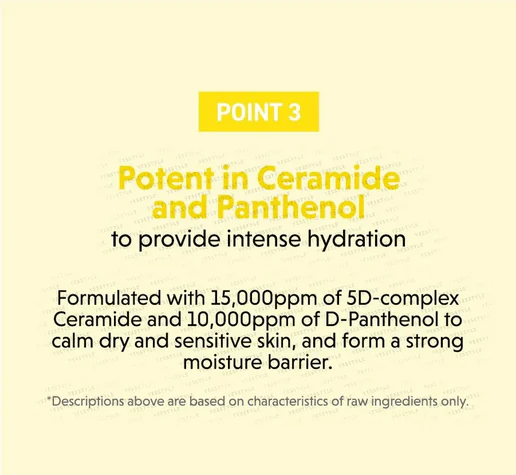 TORRIDEN Solid-In All Day Essence 100mL - Image 13